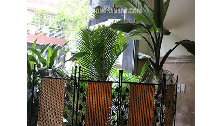 Giảm 1.5 tỷ! Khách sạn 5 tầng 27 phòng 185m2 – Hà Huy Giáp Quận 12